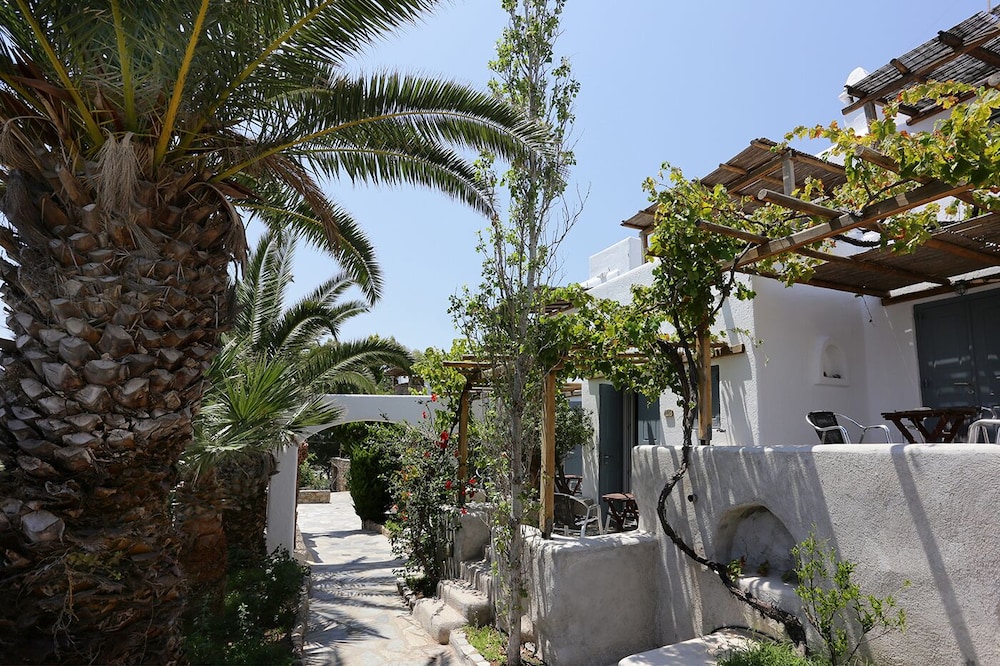 Grèce - Iles grecques - Les Cyclades - Mykonos - Hotel Albatros 3*