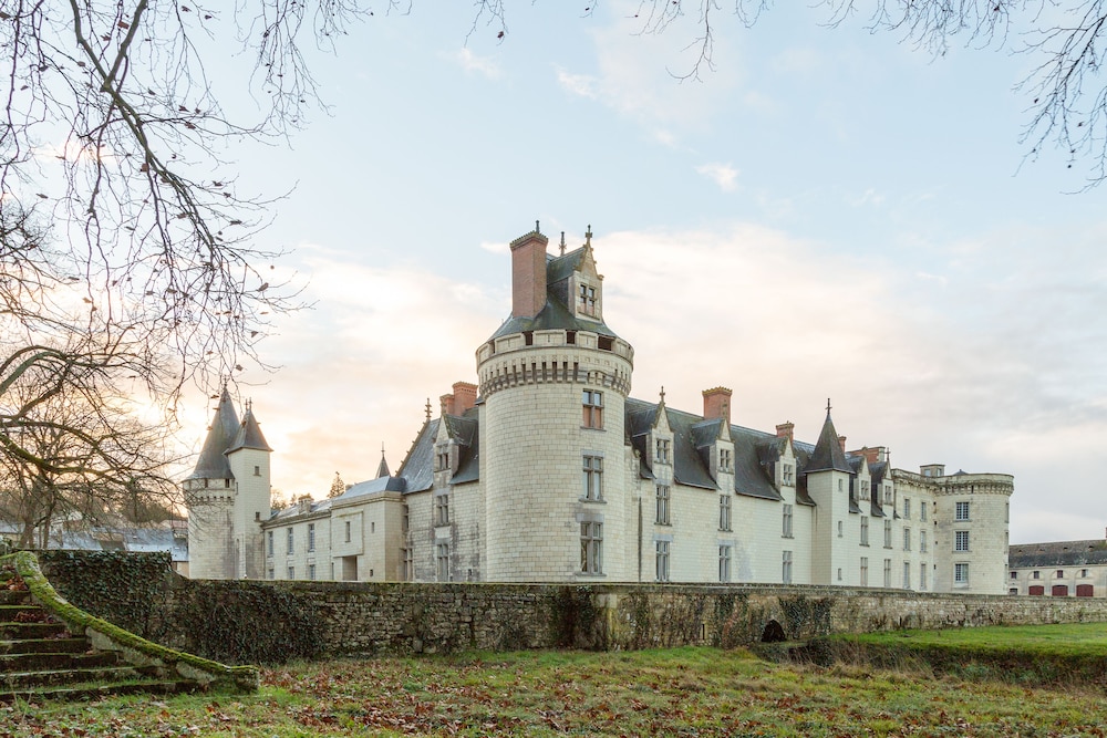 France - Poitou Loire - Poitiers - Château de Dissay